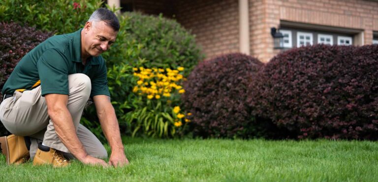 MyrtleBeachLawnCare.com